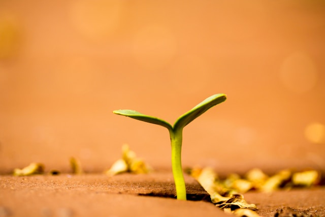 Grow Your Business